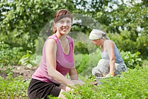 Women working in vegetable garden