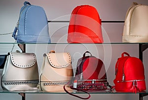 Womens colorful handbags are sold in the store