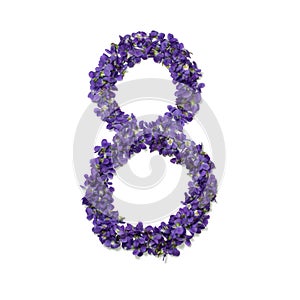 Womens day card. 8 march greeting card. Number eight shape violet flowers isolated on white background. Template for