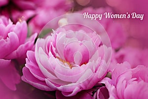 Womens day card. Pink peony flower blurred background. Peonies floral wallpaper