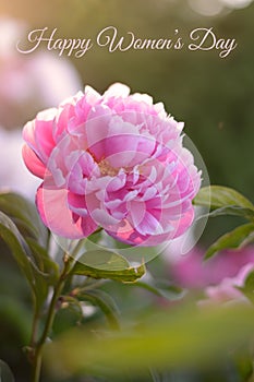 Womens day card. Pink peony flower on green blurred background