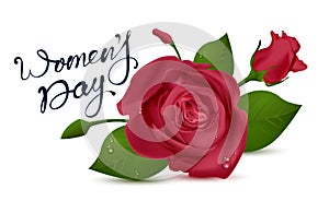 Womens Day lettering text for greeting card. Red rose on white background