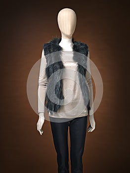 Womens jacket isolated on a brown background