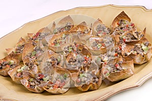 Won Ton Appetizer Platter photo