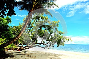 Wondama beach, papua barat