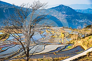 Wonder of Agricultural Civilization, Yuanyang Terraced Fields