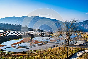 Wonder of Agricultural Civilization, Yuanyang Terraced Fields