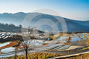 Wonder of Agricultural Civilization, Yuanyang Terraced Fields