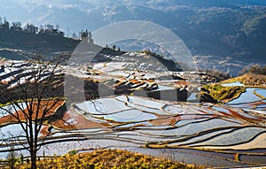 Wonder of Agricultural Civilization, Yuanyang Terraced Fields