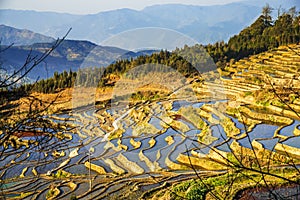 Wonder of Agricultural Civilization, Yuanyang Terraced Fields