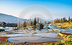 Wonder of Agricultural Civilization, Yuanyang Terraced Fields