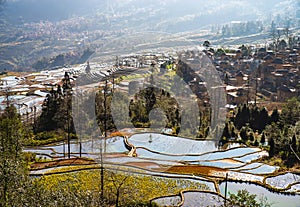 Wonder of Agricultural Civilization, Yuanyang Terraced Fields