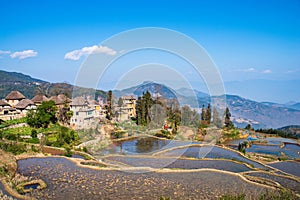 Wonder of Agricultural Civilization, Yuanyang Terraced Fields