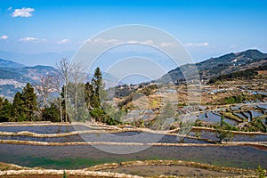 Wonder of Agricultural Civilization, Yuanyang Terraced Fields