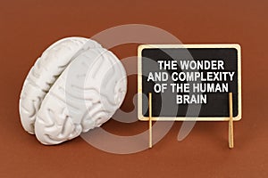 The wonder and complexity of the human brain