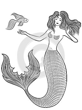 Wonder Mermaid with fish