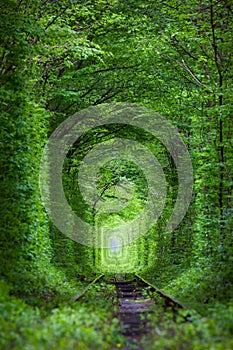 Wonder of Nature - Real Tunnel of Love, green trees