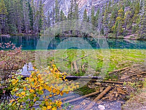 Wonder of nature. Truly unique multi coloured lake in Canadian rockies.