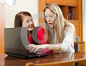 Wonder women looking to laptop at table