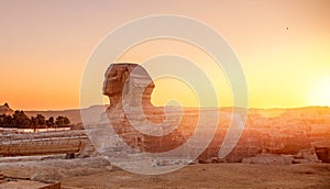 Wonder of world Sphinx and pyramids Giza, Egypt sunset sky