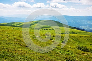 wonderful alpine landscape of ukraine in summer