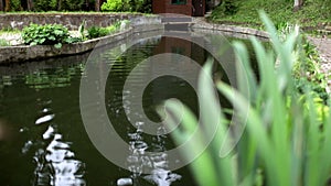 Wonderful artificial pond with lilies in city park. Artificial pond in city park