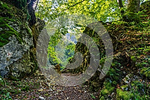 Wonderful autumn hike near Beuron in the Upper Danube Nature Park photo