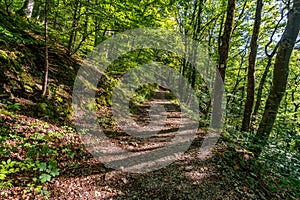 Wonderful autumn hike near Beuron in the Upper Danube Nature Park photo