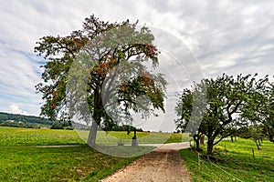 Wonderful autumn hike near Sipplingen and Uberlingen on Lake Constance photo