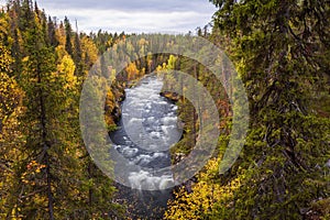Wonderful autumn landscape with blue river and yellow forest, Oulanka National park, Finland