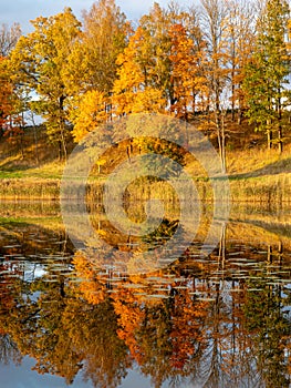 Wonderful autumn landscape with gorgeous and colorful trees by the water, beautiful reflections