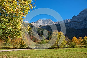 Wonderful autumn landscape, karwendel valley, with maple tree and mountain view