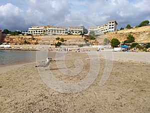 Wonderful beach on the island of Mallorca Mediterranean sea Port Adriano
