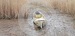 A wonderful boat in Bursa with a lake and endless reeds, especially the stork migration area, the old karaagac stork village photo