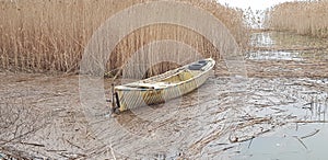 A wonderful boat in Bursa with a lake and endless reeds, especially the stork migration area, the old karaagac stork village photo