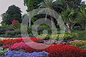 Wonderful bright flowerbeds