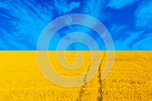 Symbolizing flag of Ukraine