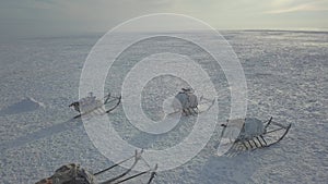 Wonderful capturing video of drone from the top of yurts in the middle of tundra in Arctic