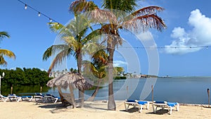 Wonderful Caribbean Paradise Beach with palm trees