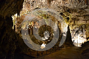 Cave Postojna, Slovenia
