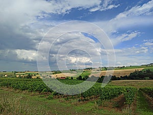 Wonderful country with vineyards in Savignano Emilia Romagna Italy. There is a beautiful panorama and an incredibile sky photo
