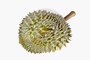 Wonderful and dangerous thorns of green durian skin