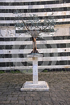 Wonderful decoration in central square of the city of volterra