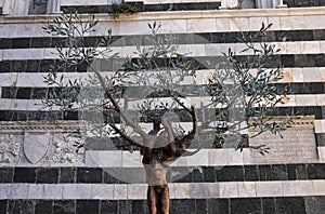 Wonderful decoration in central square of the city of volterra