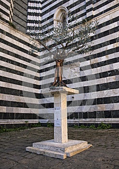 Wonderful decoration in central square of the city of volterra