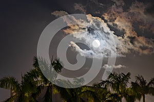 Wonderful dramatic full moon with clouds behind palms Playa Mexico