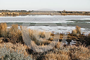 Wonderful fishing reserve