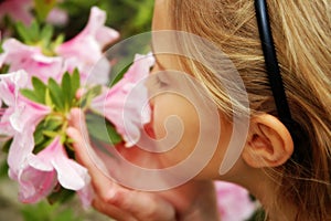 This wonderful flower