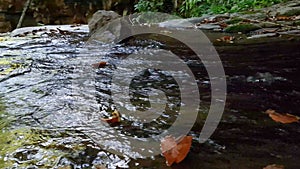 Wonderful fresh river water with rapids on flowing in mountain forest