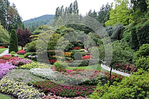 Wonderful garden in Brentwood Bay on Vancouver Island, British Columbia, Canada